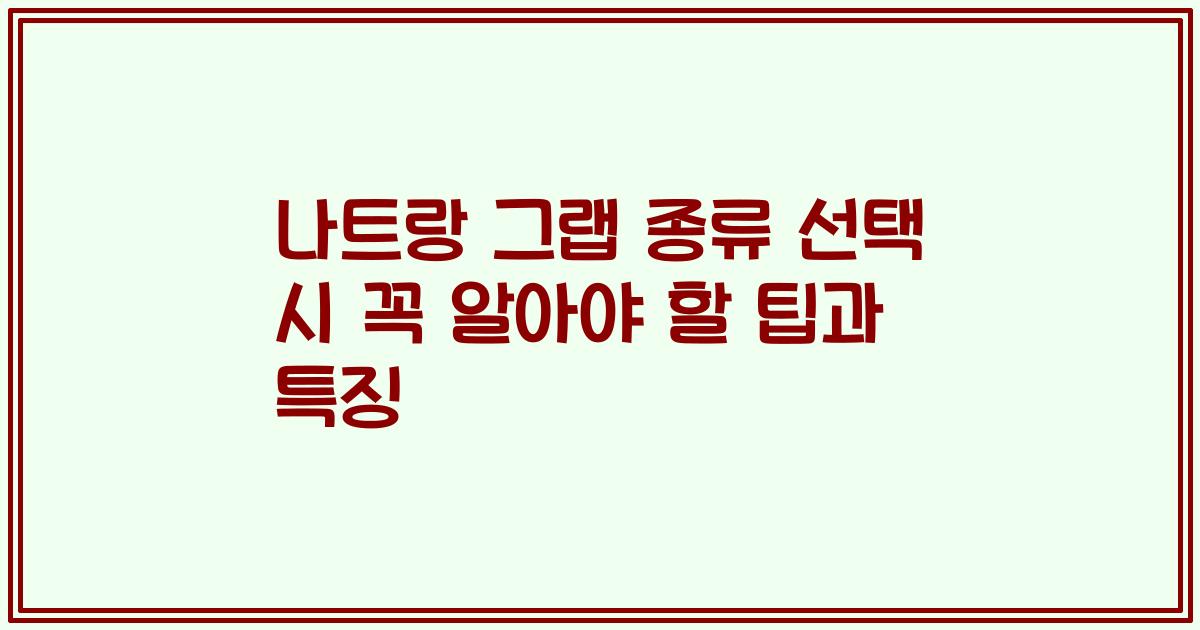 나트랑 그랩 종류 선택 시 꼭 알아야 할 팁과 특징